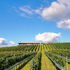 了美 Wine & Dineの外観1