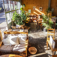 植物のある開放的な店内