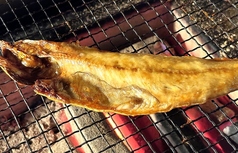 根ほっけ焼き 1枚