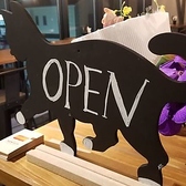 ディスプレイされた小物も可愛い♪お洒落な空間で、日本酒に合う本格スペイン料理を気軽に楽しんでください。