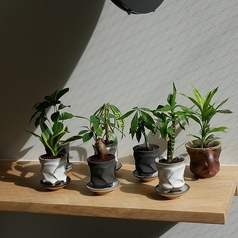 kutsurogi tenjin クツロギテンジンの雰囲気2