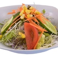 料理メニュー写真&nbsp;スペシャルサラダ