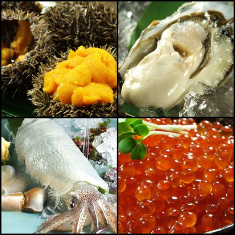 kC܂邲ƃ_CjO ܂ VTcBLOCKX