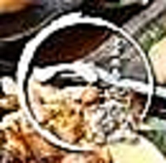 道後味処　二郎の特集写真