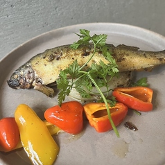 さかなや かねなりの特集写真