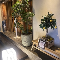 VIVA 周平 101の外観1