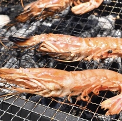 有頭海老