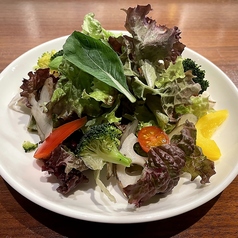 彩野菜と葉物のサラダ