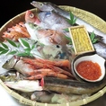 【海からの贈り物、輝く料理】海の恵みをたっぷりと味わい、輝く料理の魅力！新鮮な海鮮がたくさん詰まったメニューの数々。海の恵みが輝き、キラキラと輝く料理はまるで宝石箱のよう。新鮮な海の幸を存分に味わえる贅沢なひととき。たくさんの海の宝石が詰まった料理で、目でも舌でも楽しめるお時間をお楽しみください★