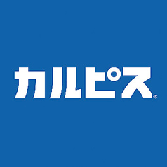 カルピス
