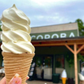 料理メニュー写真&nbsp;ソフトクリーム［コーン or カップ］