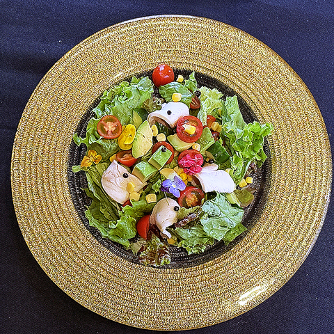 毎月お得なクーポン有！その月お勧めのグルメがお得に楽しめるクーポンも♪