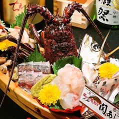 伊勢海老の姿造里