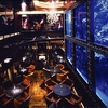 AQUA RESTAURANT&BAR LUXIS ラグシスの写真