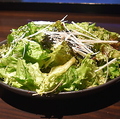 料理メニュー写真&nbsp;塩ゴマサラダ