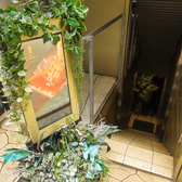 Bar LIBRE GINZA バー リブレギンザの雰囲気3