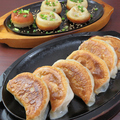 料理メニュー写真&nbsp;特製ジャンボ餃子（6個）