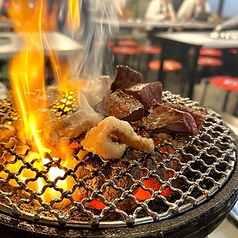 炭火七輪で焼く国産ホルモンをリーズナブルに楽しめます