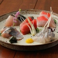 湘南の魚とワインの店 ヒラツカ 五反田店のおすすめ料理1