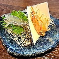 車海老