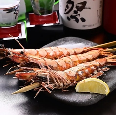 大海老