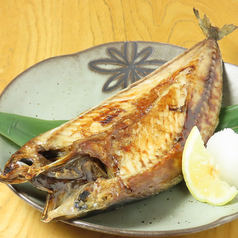 銀生サバ一夜干し