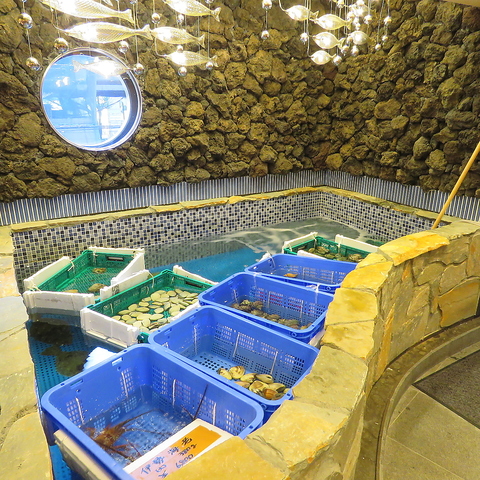 新鮮な魚介を使用したお料理の数々をお楽しみください！