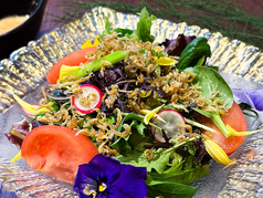 釜揚げしらすとアスパラガスのサラダ