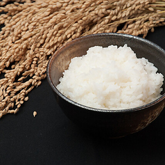 近江米(中)