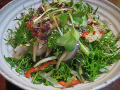 旬野菜とショルダーハムのサラダ