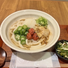 梅おろしうどん [冷]