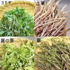 手摘みの山菜