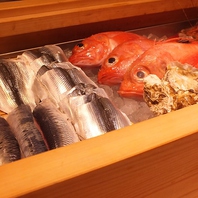 豊洲市場直送！新鮮な魚介類