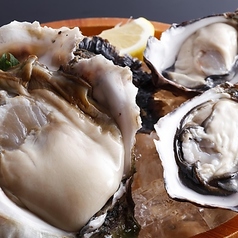 生牡蠣食べ比べ(的矢かき・伊勢志摩プレミアムオイスター)