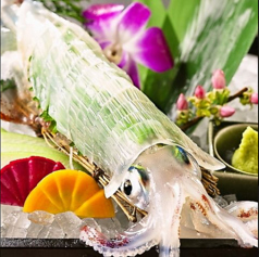 どげん海のコース写真