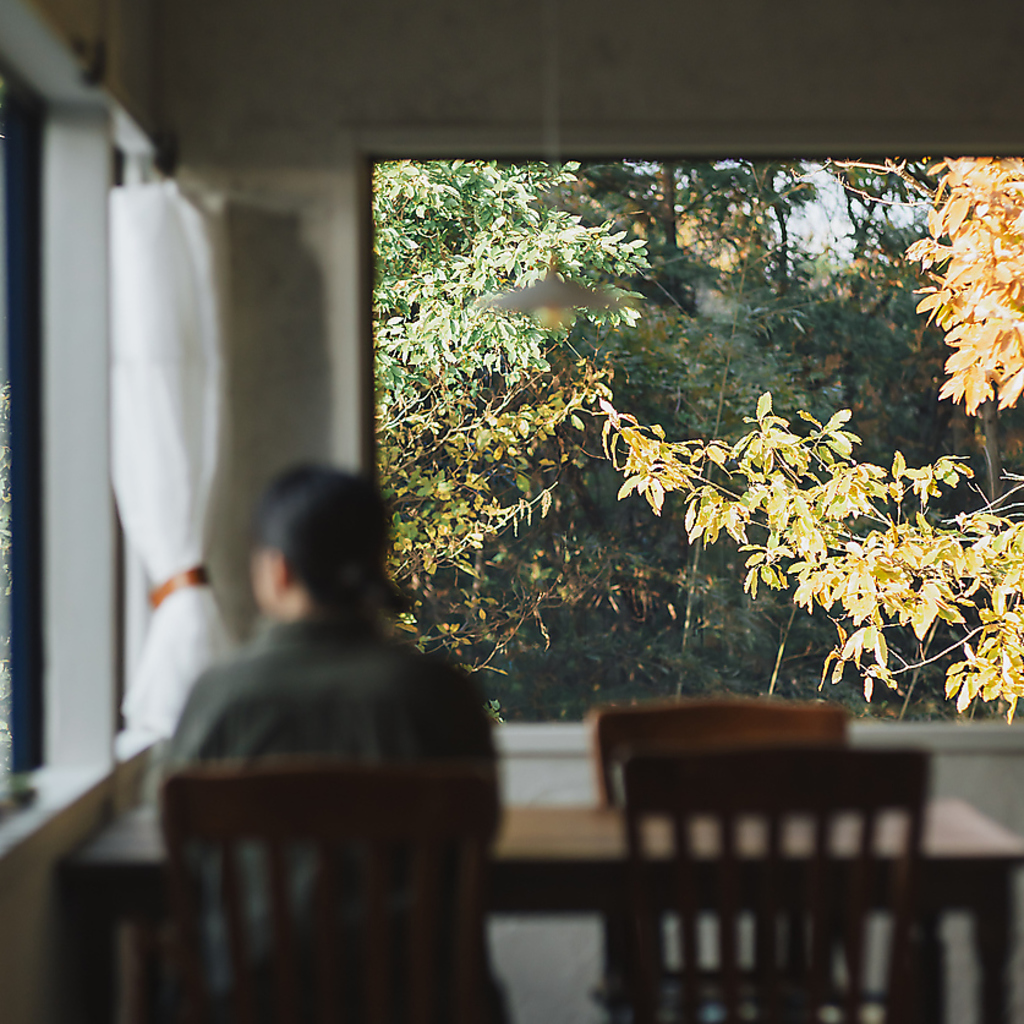 スラの写真ギャラリー