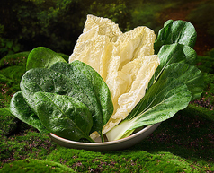 野菜の盛り合わせ