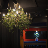 Shisha Cafe&Bar吸いーとぴーの雰囲気3