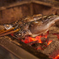 丸干しトロイワシ炭火焼き