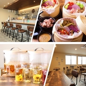 花茶 お茶割り専門店の詳細