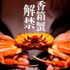 冬の日本海の代名詞！香箱蟹(ズワイガニメス)の写真