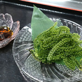 料理メニュー写真 海ぶどう