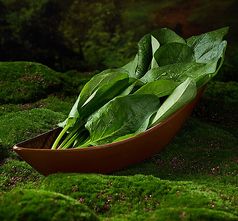 ほうれん草
