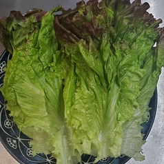 サンチュ