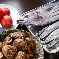 管理にこだわる鮮度抜群の海鮮「本日のお造り」