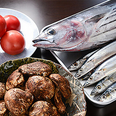 管理にこだわる鮮度抜群の海鮮「本日のお造り」