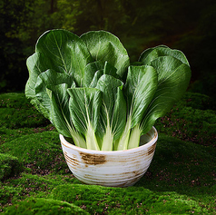 チンゲン菜