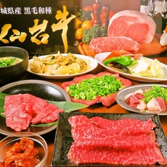 炭焼酒場 晴れる屋 住吉店 となりのハレルヤの特集写真