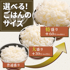 選べるご飯のサイズが嬉しい！