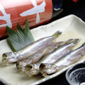 料理メニュー写真 柳葉魚